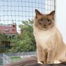 Trixie wzmocniona siatka ochronna dla kota, oliwkowa - 8 x 3 m