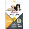 Opti Life Puppy Maxi - 2 x 12,5 kg