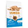 IAMS Advanced Nutrition Adult Cat, z rybami morskimi - 2 x 10 kg