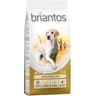 Briantos Adult Maxi - 14 kg