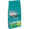 PURINA ONE Indoor Formula - 9,75 kg