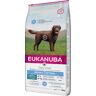 Eukanuba Daily Care Weigth Control Large Adult Dog - 15 kg