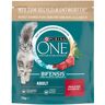 PURINA ONE Adult, wołowina ze zbożem pełnoziarnistym - 3 x 750 g