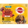 Saszetki Pedigree Senior Megapack - 144 x 100 g