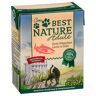 Best Nature Adult Cat, 8 x 370 g - Łosoś w sosie