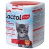 Beaphar Lactol, mleko zastępcze dla kota - 2 x 500 g