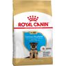 Royal Canin Breed Royal Canin German Shepherd Puppy - 3 kg