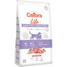 Calibra Dog Life Junior jagnięcina dla małych i średnich ras - wygodne opakowanie: 2 x 12 kg