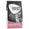 Concept for Life Maine Coon Kitten - Ulepszona receptura! - 2 x 10 kg