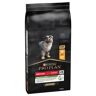 PURINA PRO PLAN Medium Puppy Healthy Start, kurczak i ryż - 2 x 12 kg