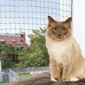 Trixie wzmocniona siatka ochronna dla kota, oliwkowa - 4 x 3 m