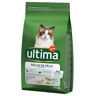 Affinity Ultima Ultima Cat Hairball, indyk i ryż - 4,5 kg (3 x 1,5 kg)