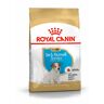Royal Canin Breed Royal Canin Jack Russell Puppy - 2 x 3 kg