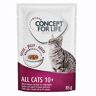 Concept for Life All Cats 10+ w galarecie - 24 x 85 g