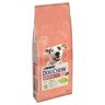 Dwupak PURINA Dog Chow, 2 x 14 kg - Adult Sensitive Salmon & Rice, łosoś i ryż