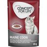 Concept for Life Maine Coon Adult, ragout - 24 x 85 g