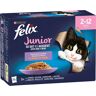 Felix Junior, w galarecie, So gut wie es aussieht, 48 x 85 g - 4 smaki