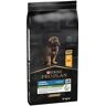 PURINA PRO PLAN Large Robust Puppy Healthy Start, kurczak i ryż - 2 x 12 kg