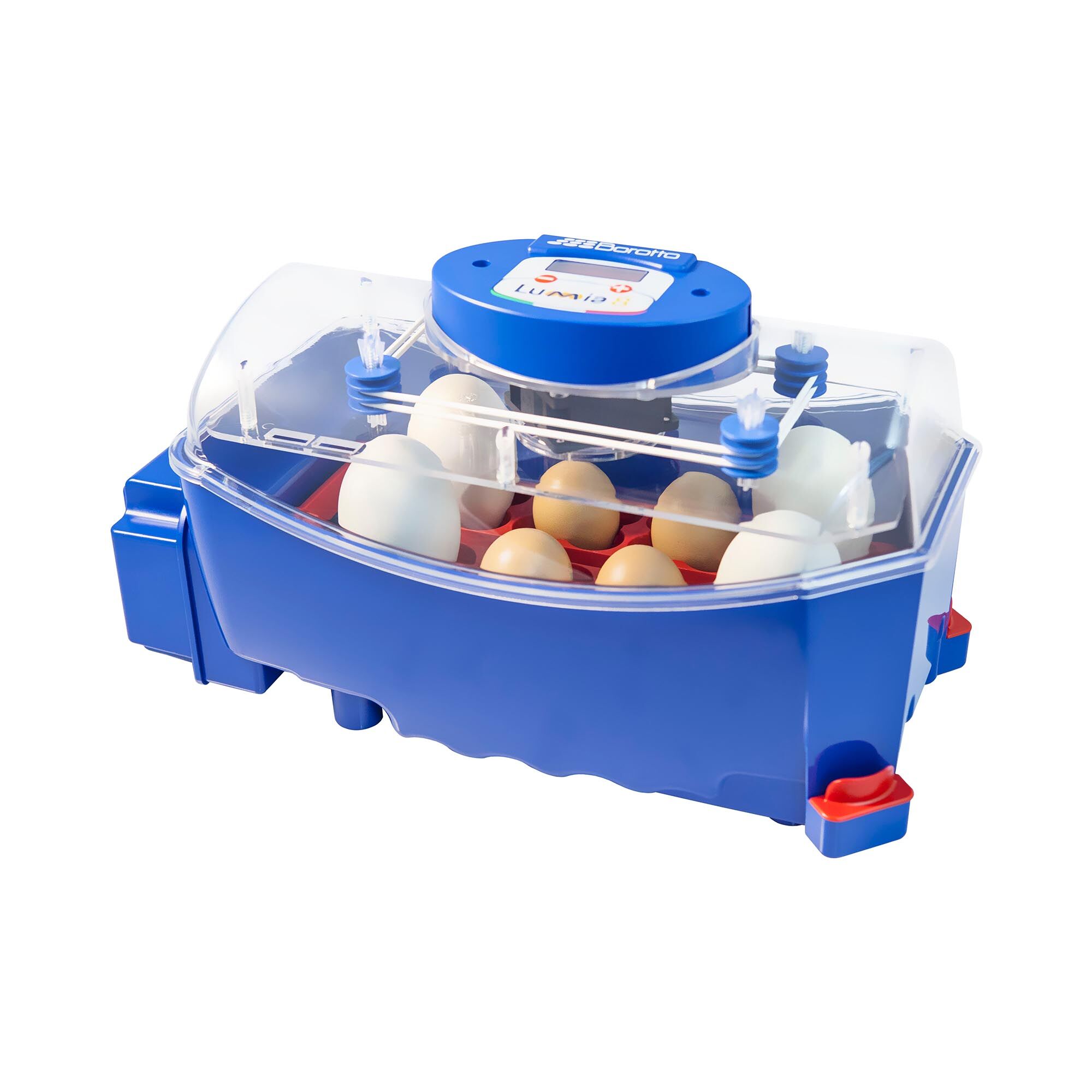 Borotto Inkubator do jaj - 8 jaj - dystrybutor wody - automatyczny LUMIA 8 AUTOMATIC