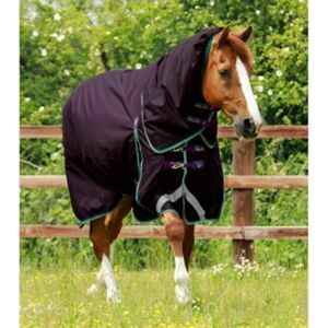 Premier Equine Manta impermeável para cavalos com capa de pescoço Buster 200 g