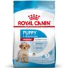 15kg Medium Puppy Royal Canin ração cães