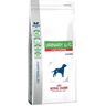 Royal Canin Veterinary Diet Ração Cão Adulto Urinary U/C Low Purine 14 Kg