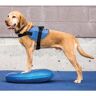 FitPAWS Disco de equilíbrio para animais de estimação 36 cm azul