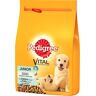 Alimento Seco Cão Pedigree Júnior 3kg