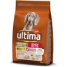 Ração Para Cão Ultima Senior 3kg