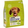 Ração Para Cão Adulto Dog Chow Com Frango 2.5kg