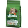 Ração Para Gato Ultima Com Salmao E Arroz 1.5kg