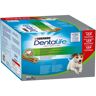 Snack Cão Dentalife Purina Raça Pequena 882g 54un