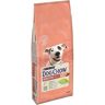 Ração Para Cão Dog Chow Sensitive Com Salmão 14kg