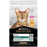 Ração Gato Pro Plan Frango 10 Kg*