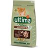 Ração Para Gato Nature No Grain Com Perú 1.10kg