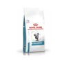 Royal Canin Ração para Gato Veterinary Diet Anallergenic An26 (4 Kg - Seca)