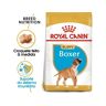 Royal Canin Ração para Cão Boxer Puppy (12 Kg)