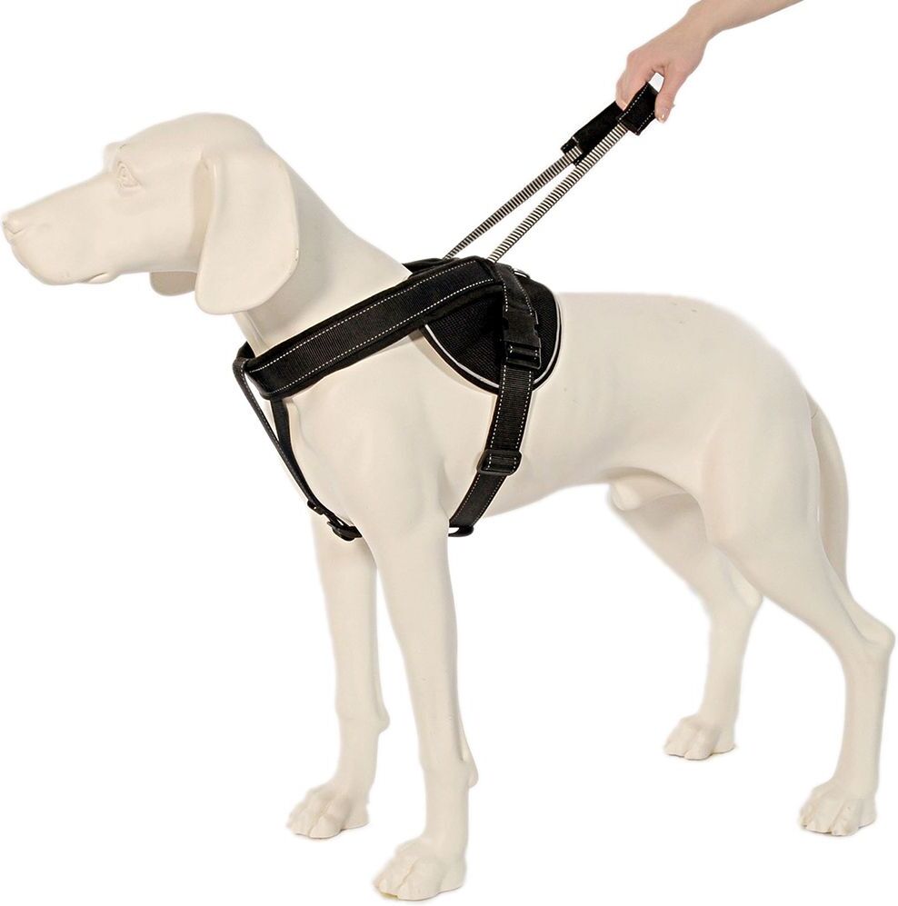 Patentopet Dog Control Peitoral preto para cães - Tam. L: circunferência do peito 66-85 cm