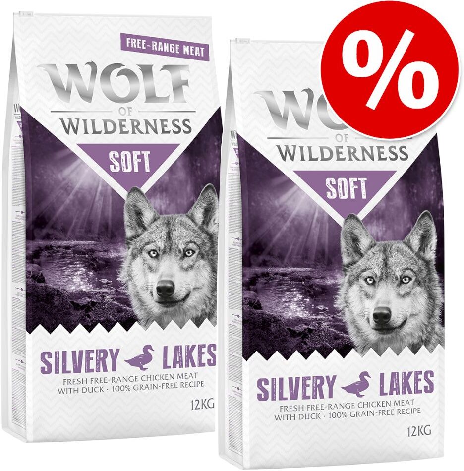 Wolf of Wilderness Soft & Strong 2 x 12 kg - Pack económico - Pack misto: cordeiro e salmão