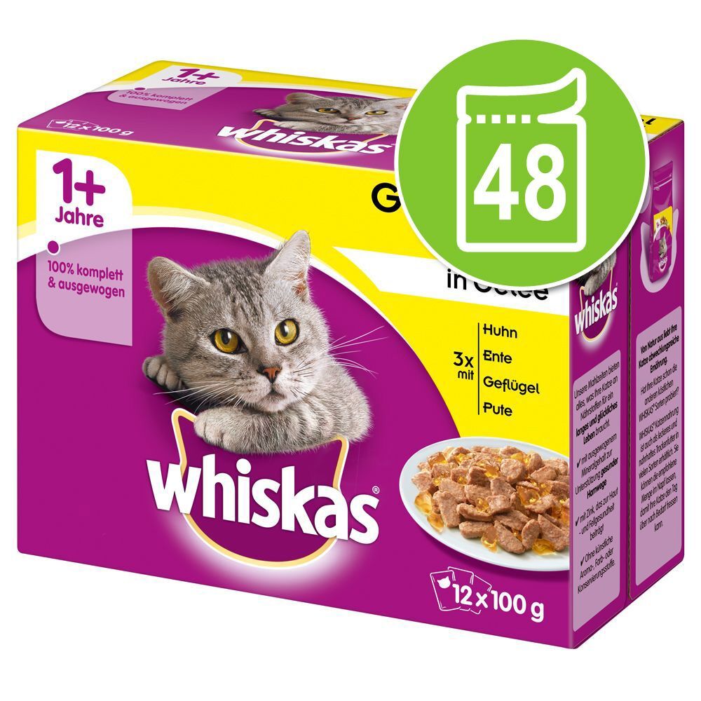 Whiskas 1+ saquetas 48 x 85 g/100 g - Megapack económico - Casserole Seleção mista em gelatina (48 x 85 g)