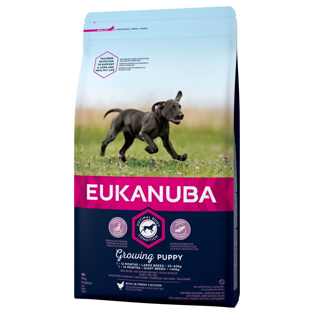 Eukanuba Growing Puppy Large Breed frango - 15 kg