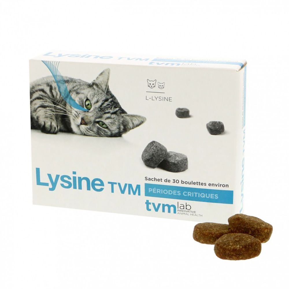TVM Lysine suplemento anti stress para gatos - Pack económico: 60 x 2 g