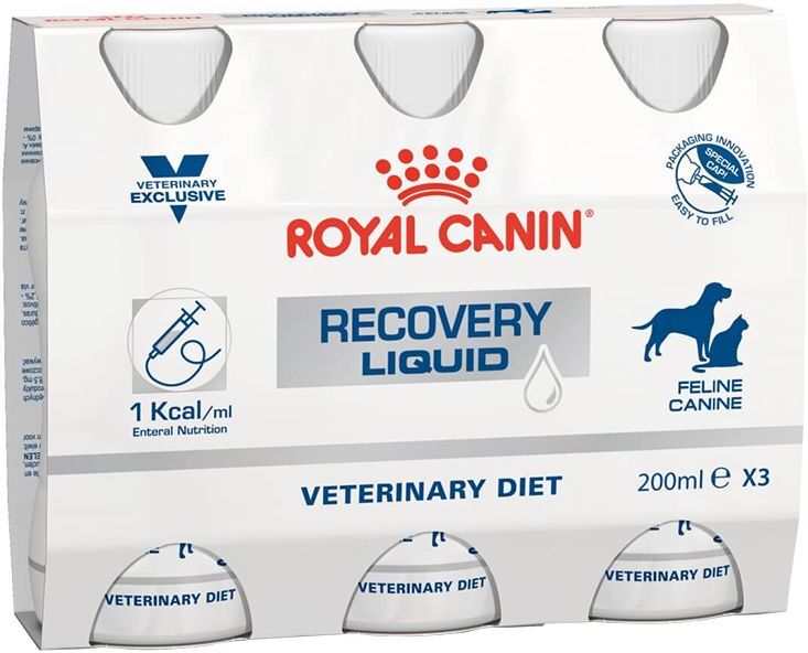 Royal Canin Veterinary Recovery Liquid para cães e gatos - Pack económico: 6 x 200 ml