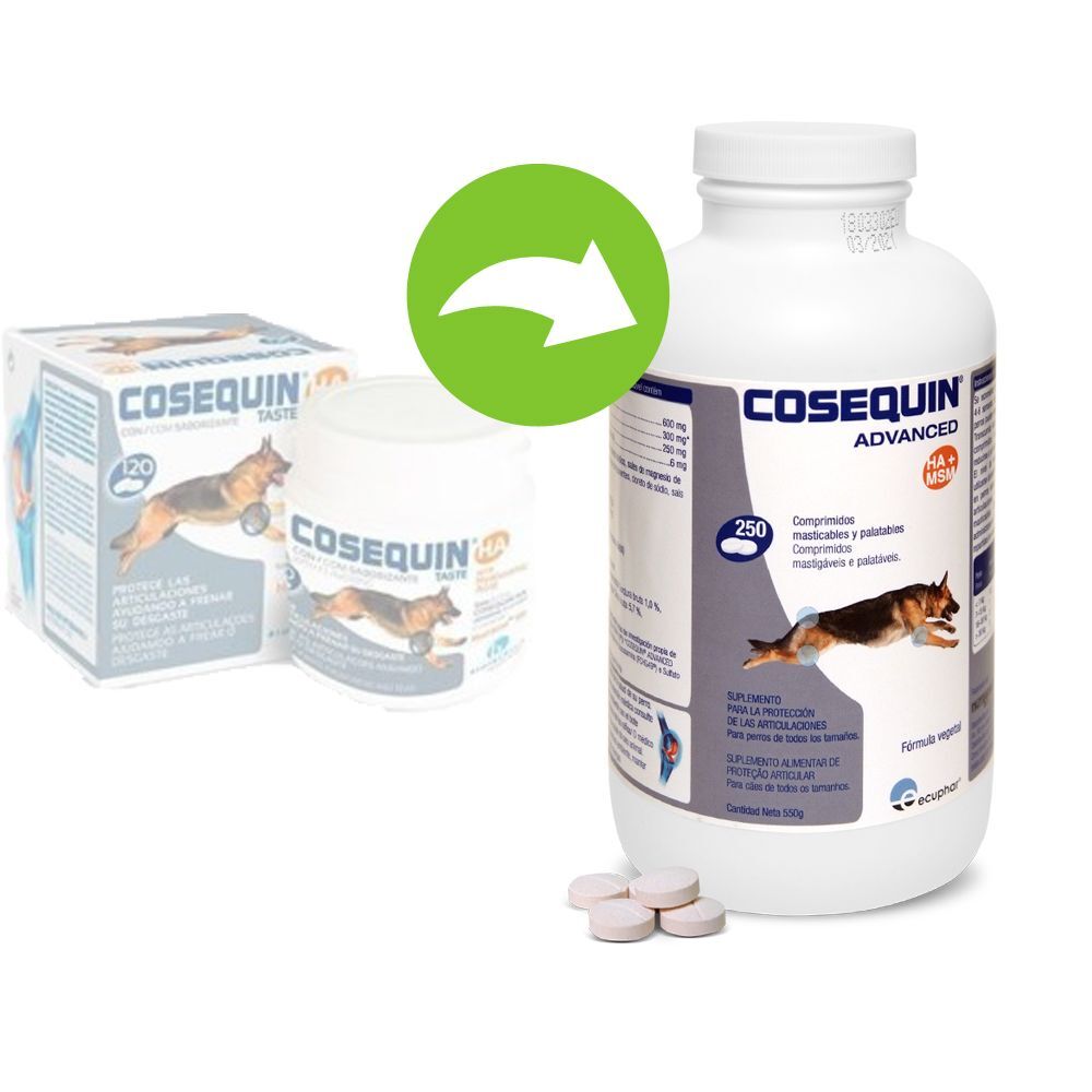 Cosequin Advance condroprotetor para cães - 250 comprimidos