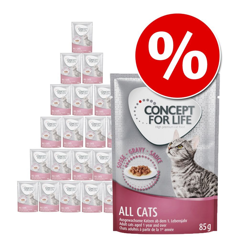 Concept for Life 24 x 85 g - Pack económico - Kitten em gelatina