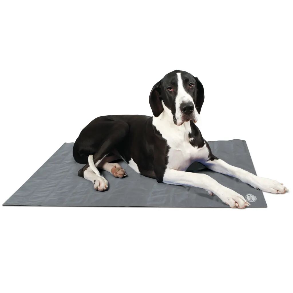 Scruffs & Tramps Tapete refrescante para cães cinzento tamanho XL 2719