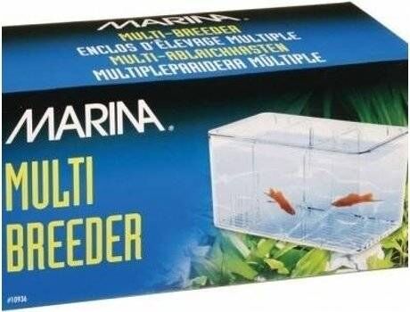 Marina Maternidade para Peixes Incubadora (Transparente - 10.79x20.32x10.16cm)