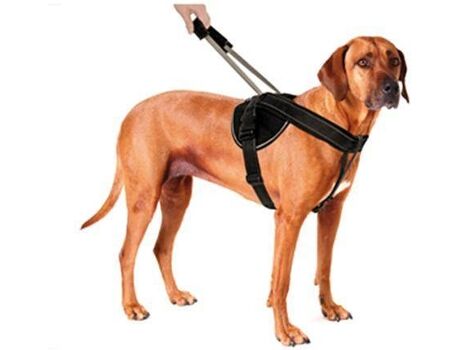 Patento Pet Peitoral para Cães Elástico (Preto - Mais de 92cm - Nylon - XXL - Porte Grande)