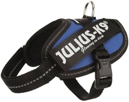 Julius-K9 Peitoral para Cães JULIUS K9 Power (Azul - 33-45x1.8cm - Nylon - XS - Porte Pequeno)