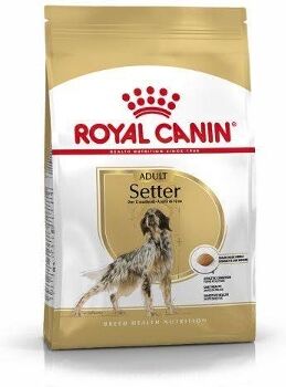 Royal Canin Ração para Cães Setter Adult (12 Kg)